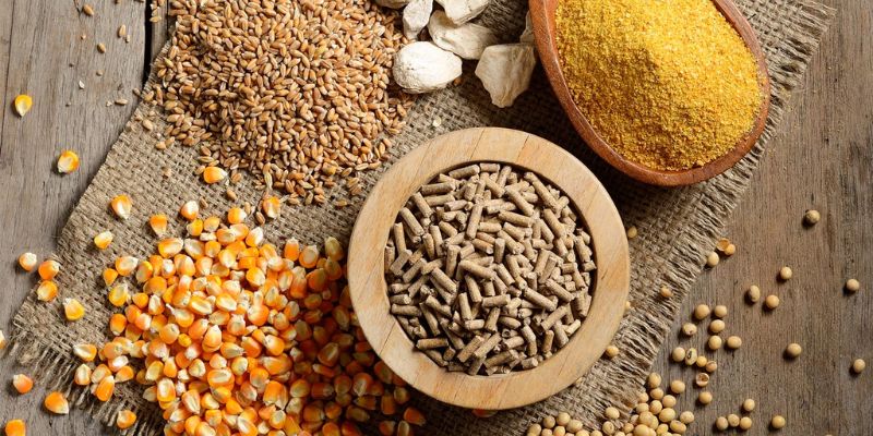 Chế độ ăn uống chặt chẽ
