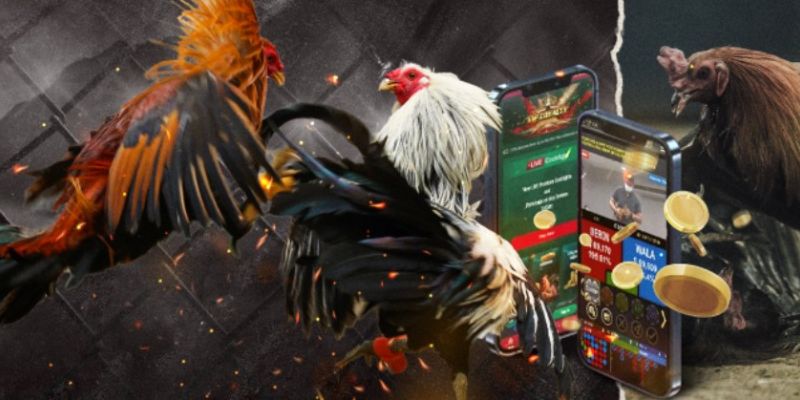 Đặt cược vào thời điểm vàng